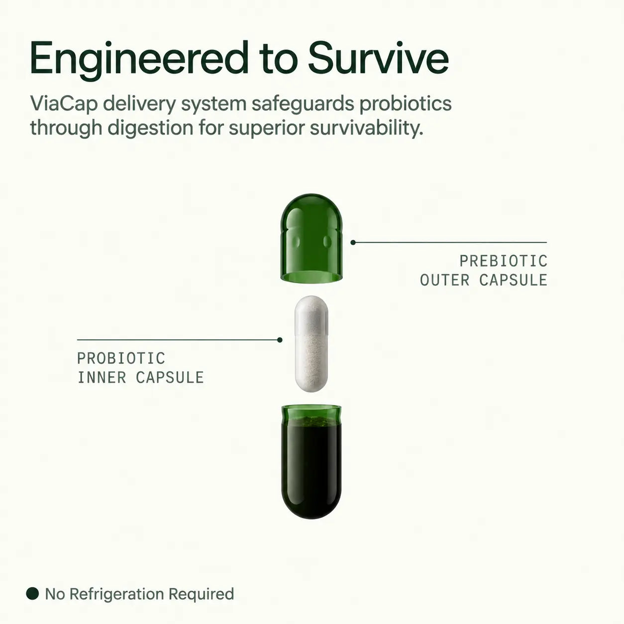 Daily Synbiotic