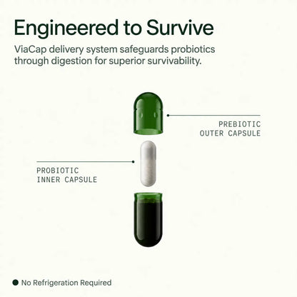 Daily Synbiotic