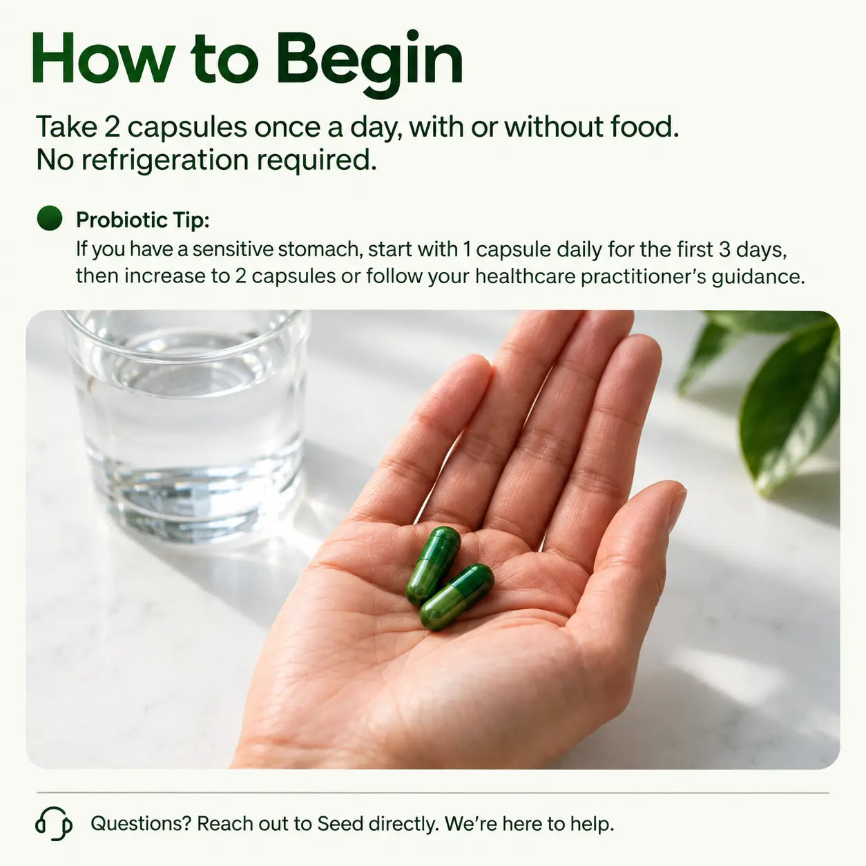 Daily Synbiotic
